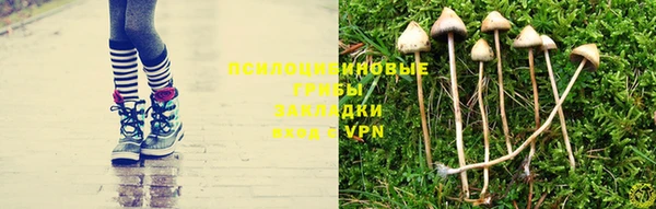мяу мяу кристалл Баксан